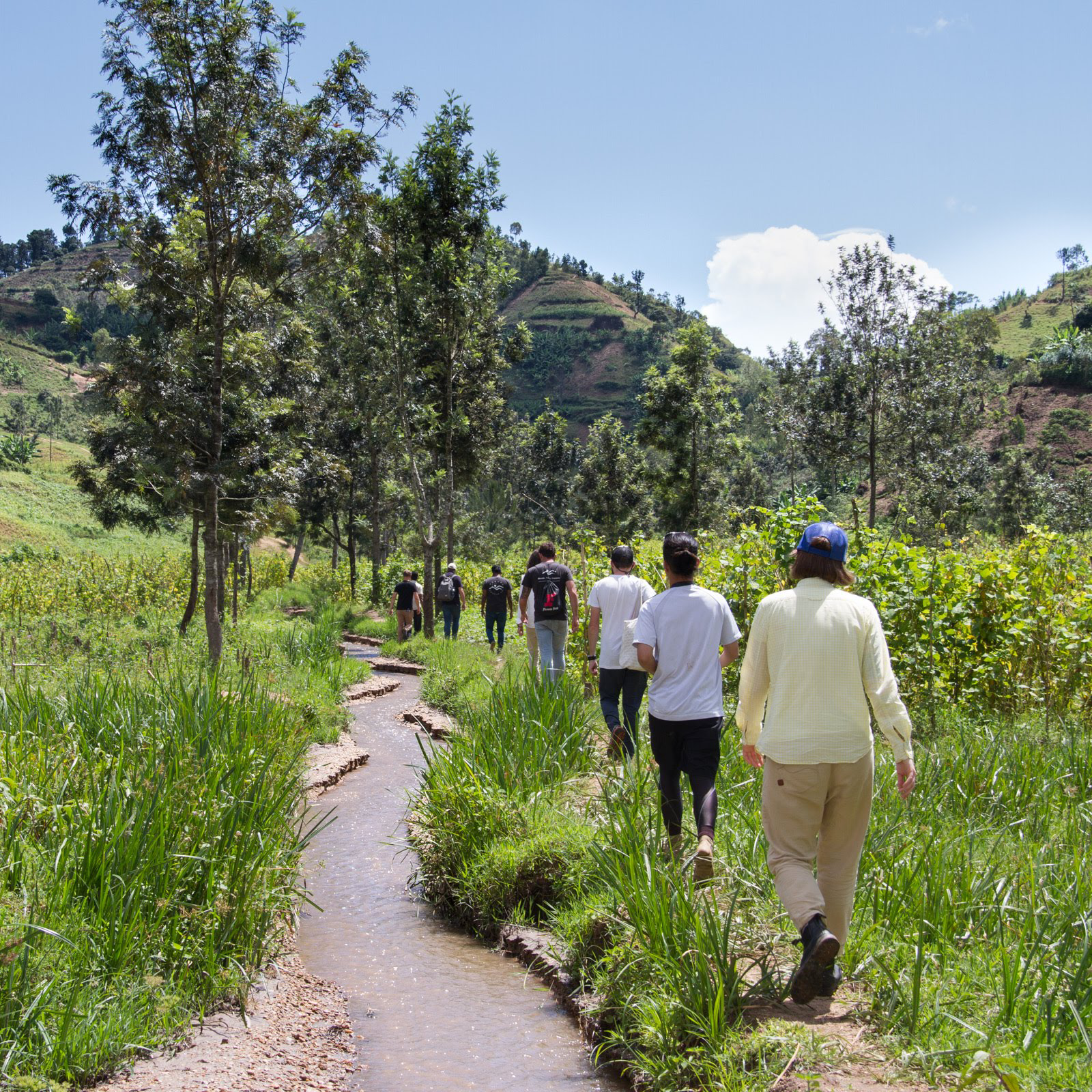 Helping to preserve family livelihood in Costa Rica