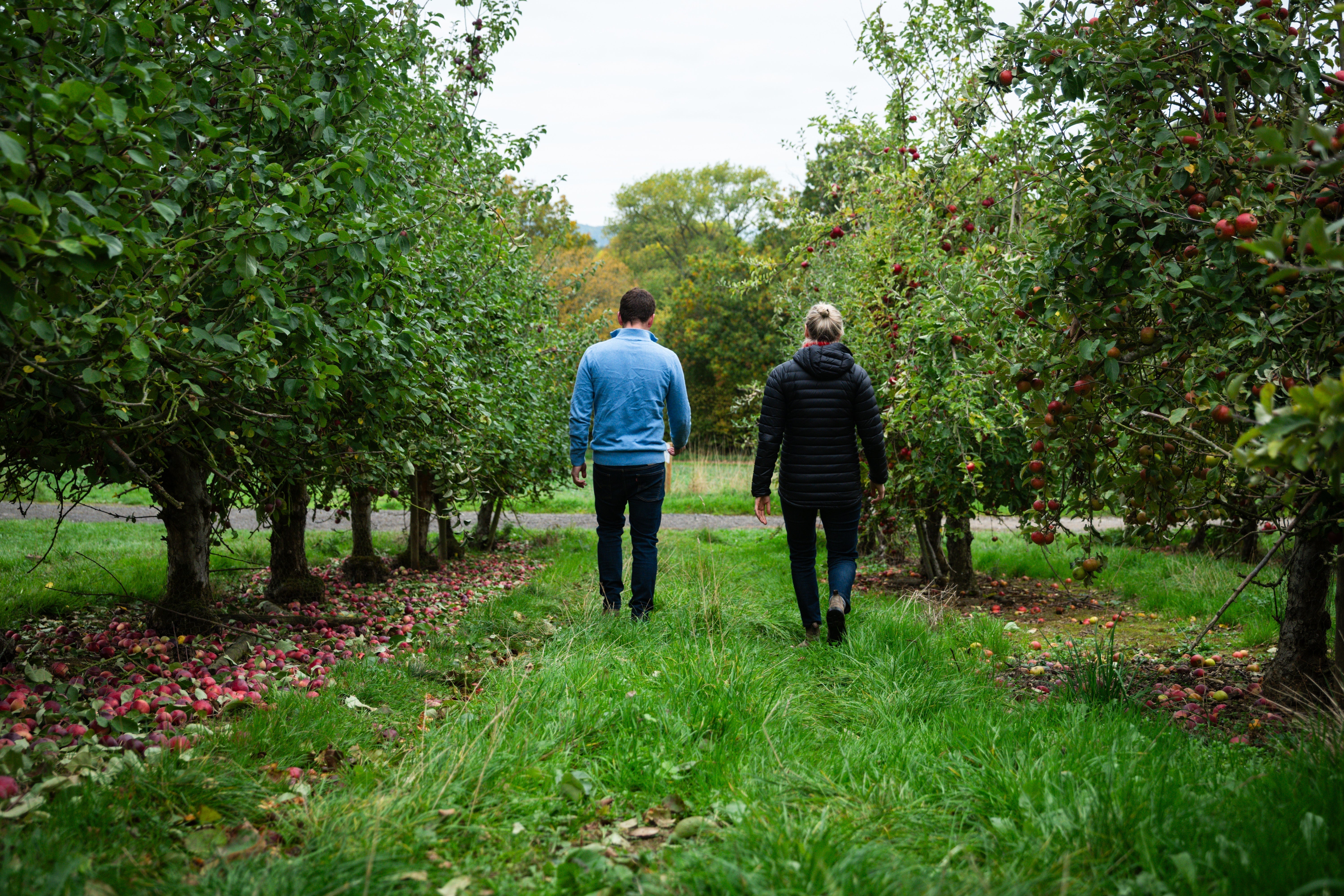 Partner Stories: Hayles Fruit Farm
