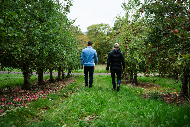Partner Stories: Hayles Fruit Farm