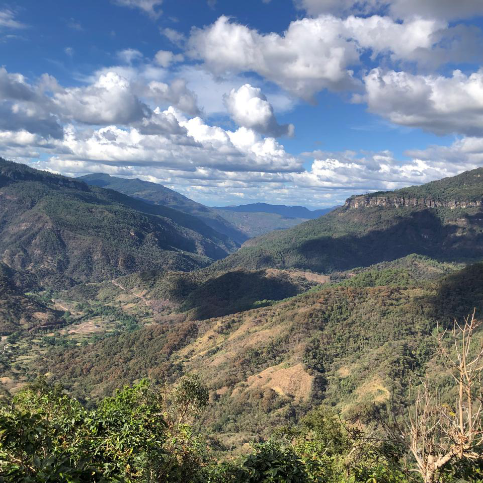 Mountains in Mexico where the mountain water decaf process takes place