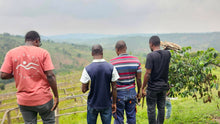 Load image into Gallery viewer, Dahwe - Southern Province, Rwanda