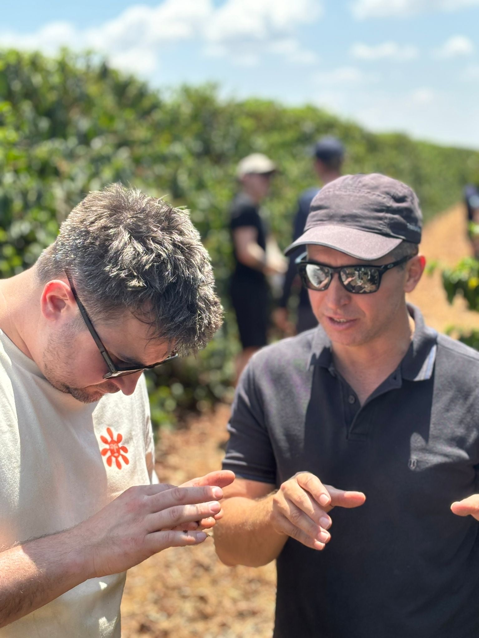 Two people looking at coffee berry.
