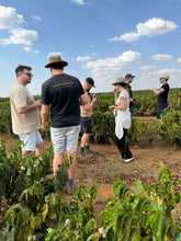 Load image into Gallery viewer, Brown Sugar - Brazil, Rwanda