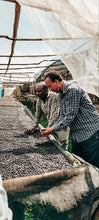 Load image into Gallery viewer, Two men working with coffee beans.