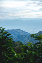 Load image into Gallery viewer, Scenic view of mountains with greenery in the foreground from Tolima.