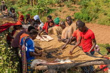 Load image into Gallery viewer, Mugoyi (Natural) - Burundi