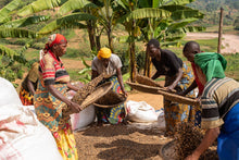 Load image into Gallery viewer, Mugoyi (Natural) - Burundi