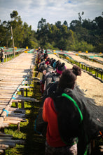 Load image into Gallery viewer, Rumudamo (Natural) - Ethiopia