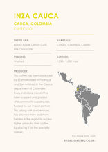 Load image into Gallery viewer, Inza Cauca (Washed) - Colombia