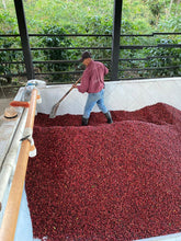 Load image into Gallery viewer, House Blend - Colombia, El Salvador, Guatemala