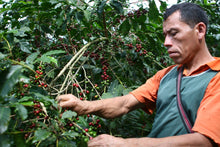 Load image into Gallery viewer, House Blend - Colombia, El Salvador, Guatemala