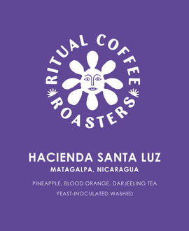 Hacienda Santa Luz (Washed) - Nicaragua