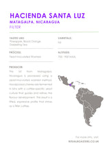 Load image into Gallery viewer, Hacienda Santa Luz (Washed) - Nicaragua