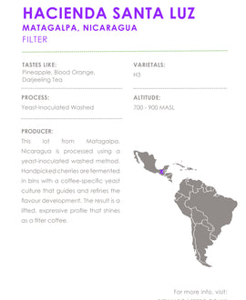 Hacienda Santa Luz (Washed) - Nicaragua