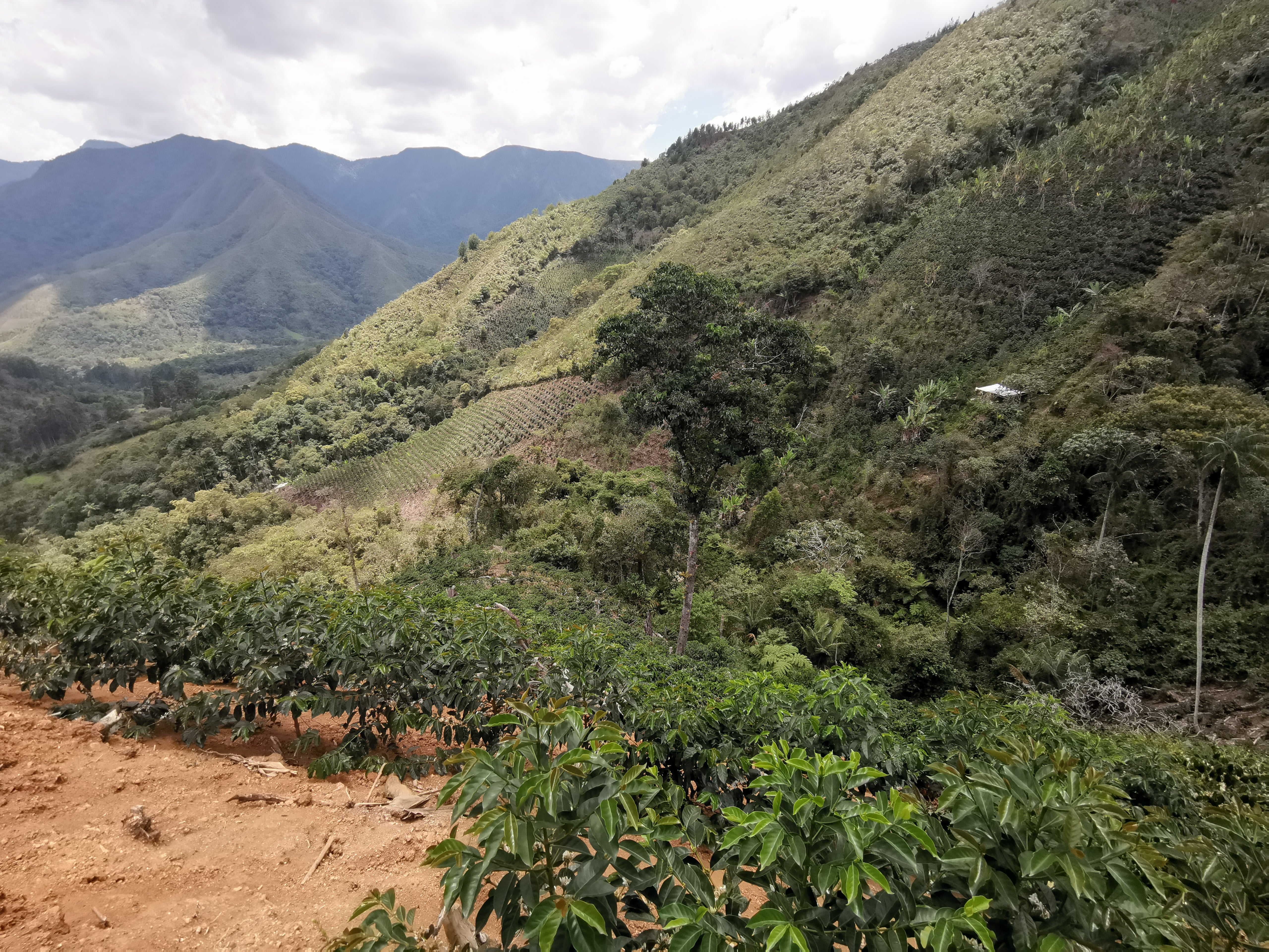 Mountains and landscape of Peru.