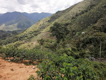 Load image into Gallery viewer, Mountains and landscape of Peru.