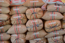 Load image into Gallery viewer, Inza Cauca (Washed) - Colombia