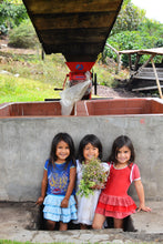 Load image into Gallery viewer, Inza Cauca (Washed) - Colombia